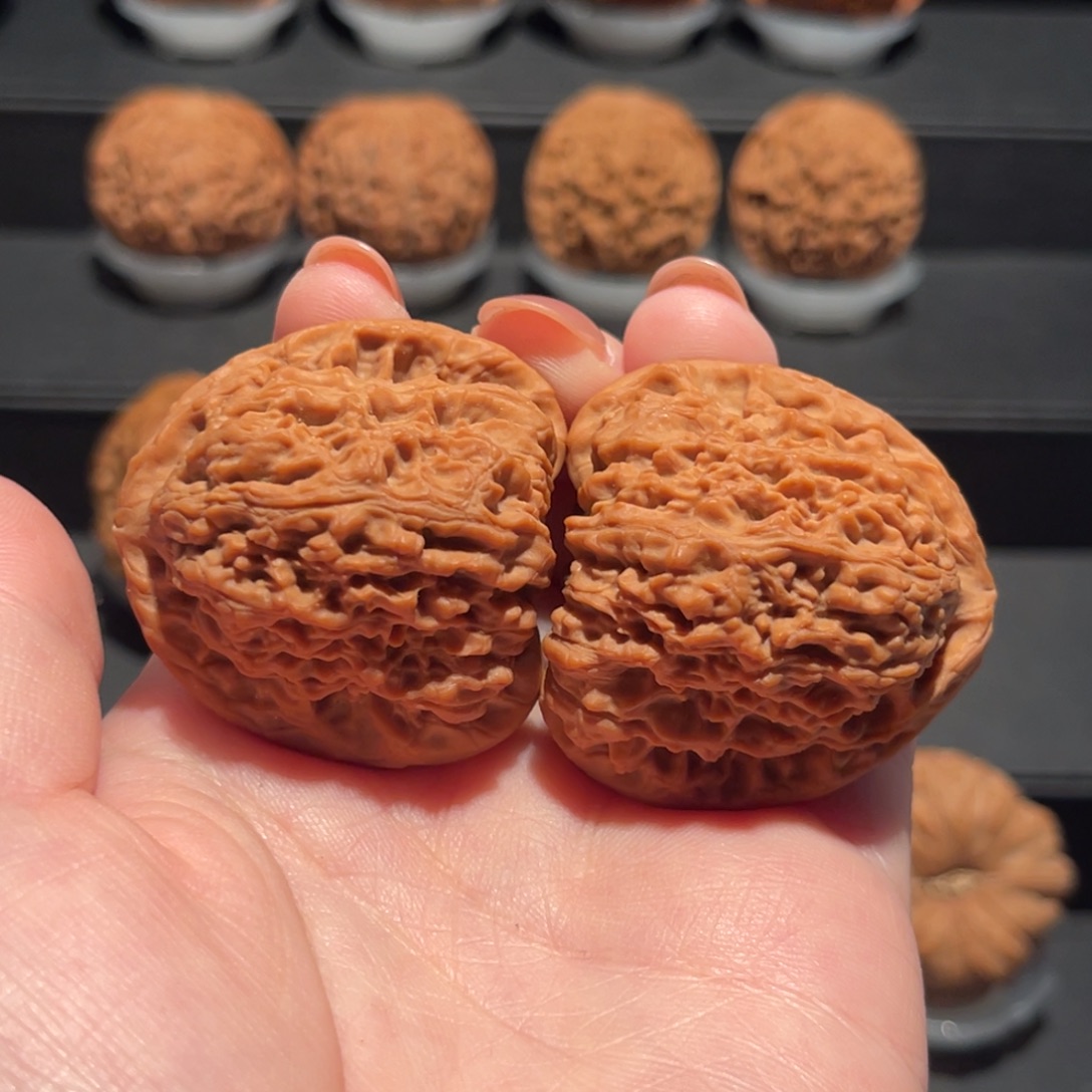 三角疆41精品，全品460