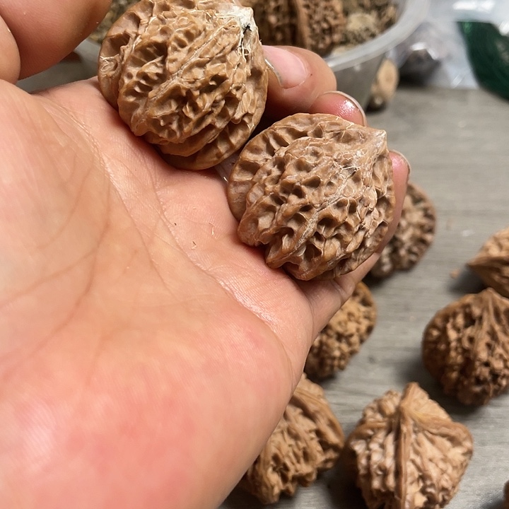 【闪购商品】绿**踪野生玉玺狮子头111111111