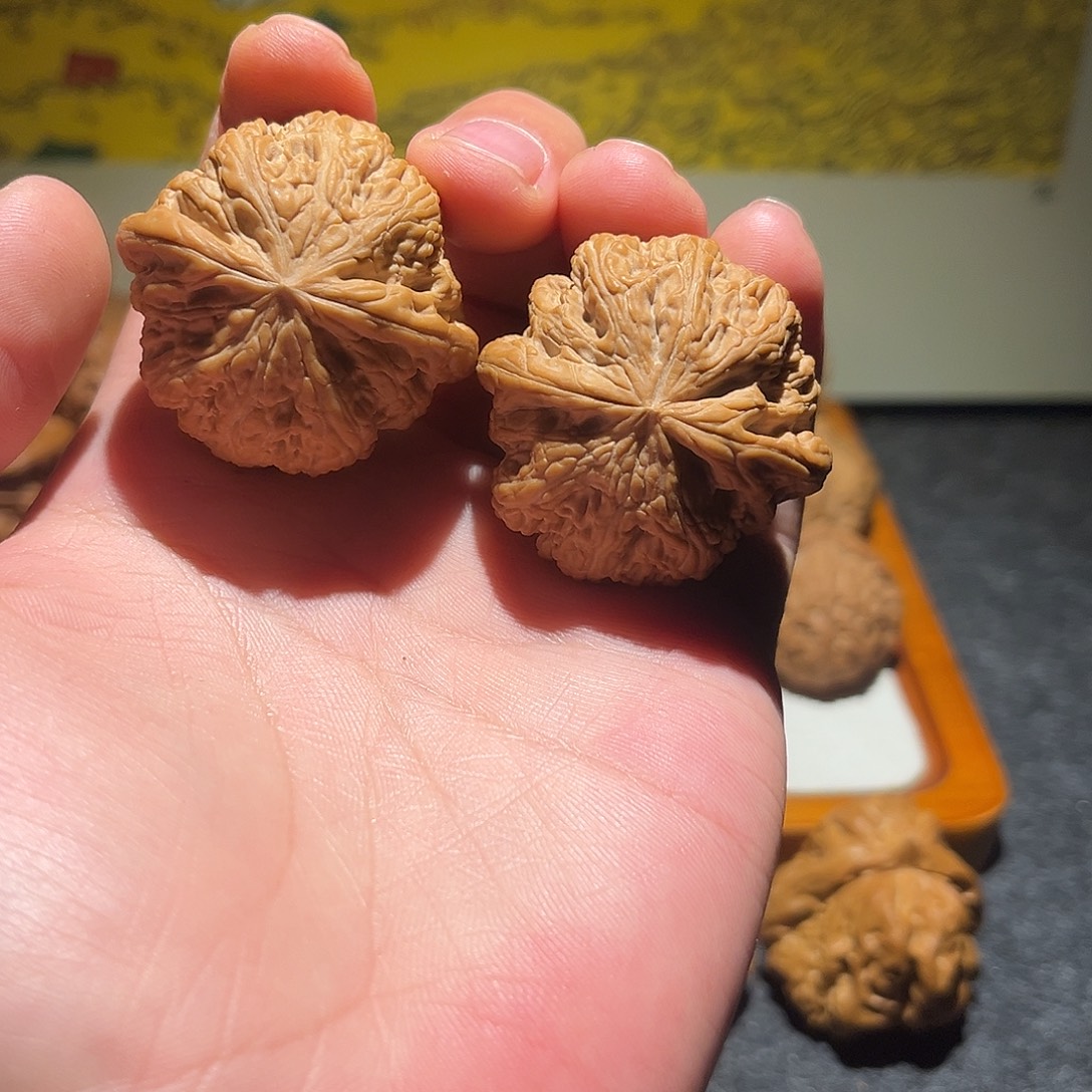 文玩核桃吊坠40粗筋