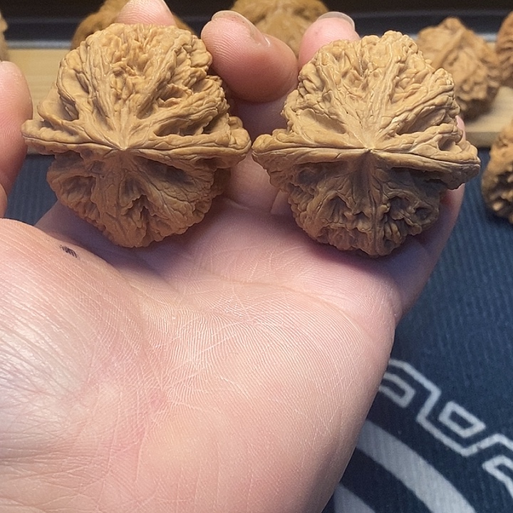 胖***潘核桃47大粗筋福利核桃
