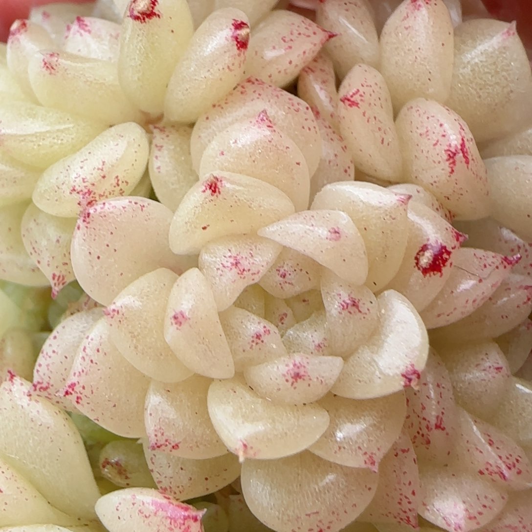 陈**儿【闪购商品】0208-47（m1-279-1）