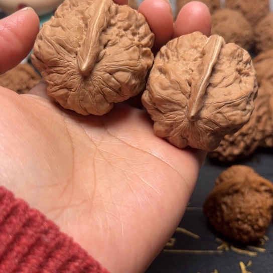 哈码头一帆风顺全品无修