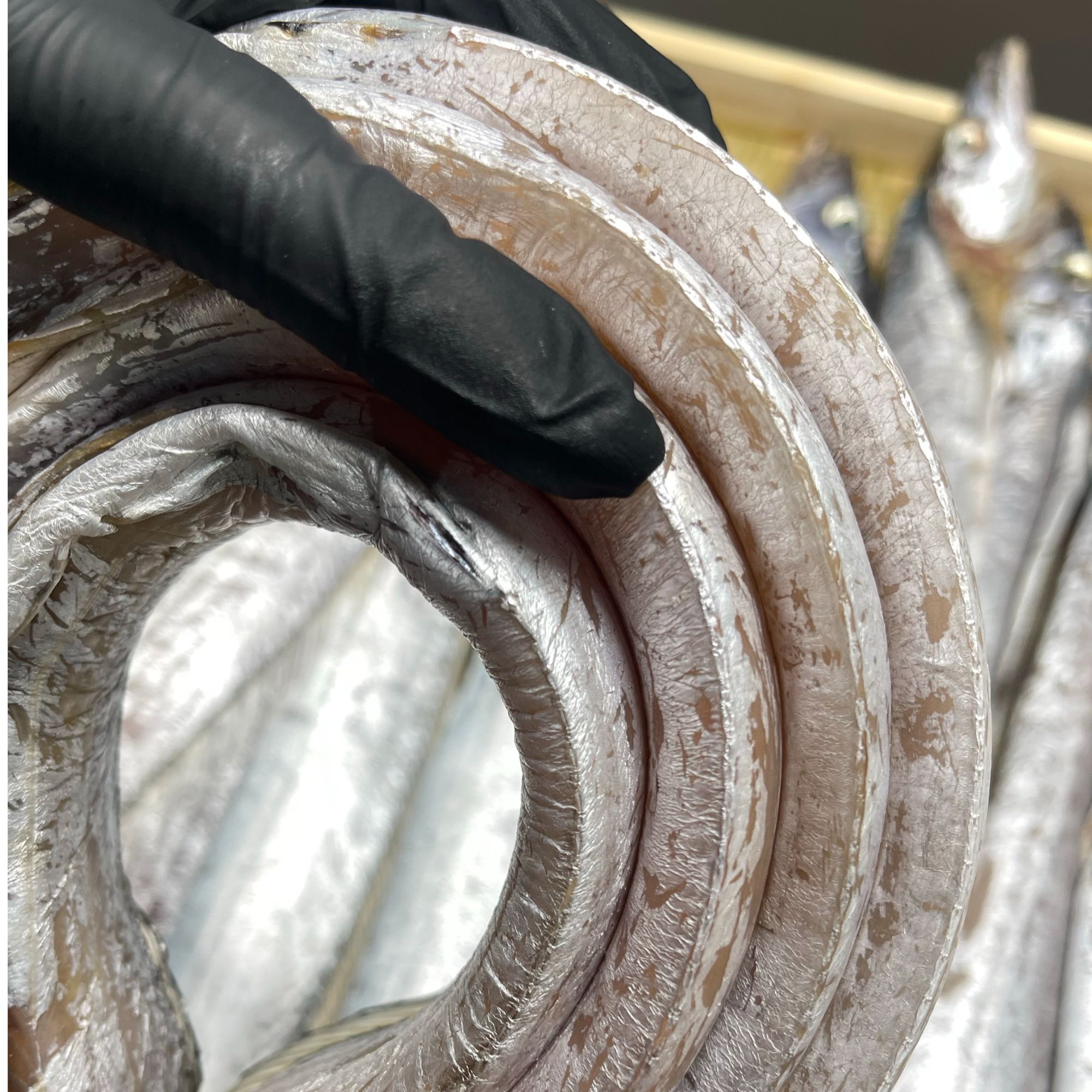 【特大号】【4两以上/条，到手7-8条】舟山野生小眼风带鱼现捕现风干