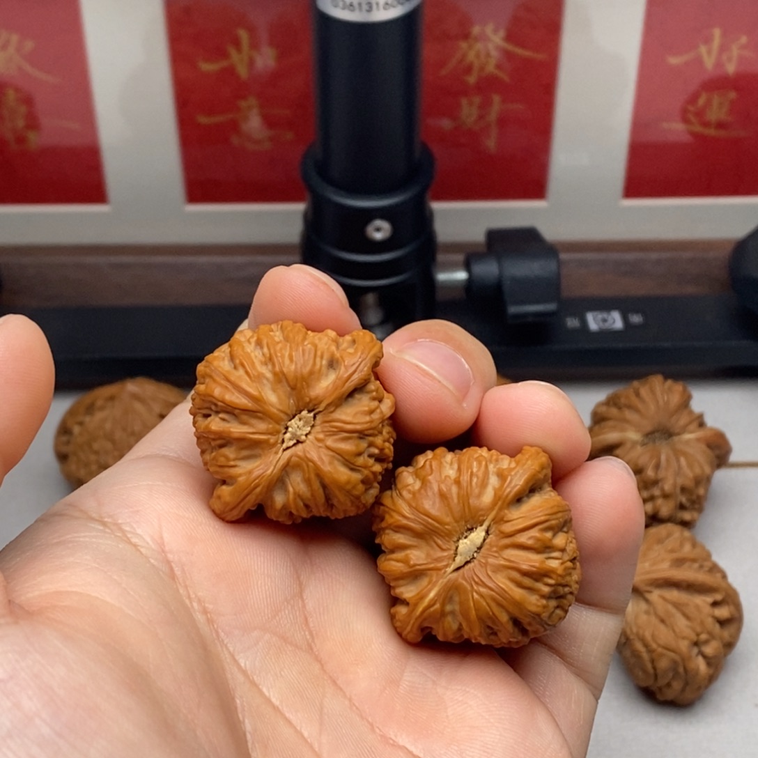 A***l核桃极品货头三角白