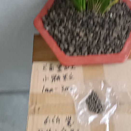 风***兰菌黑山土小颗粒6.6斤