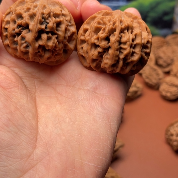 酷***罗文玩核桃吊坠秦核等人的故事也在这里