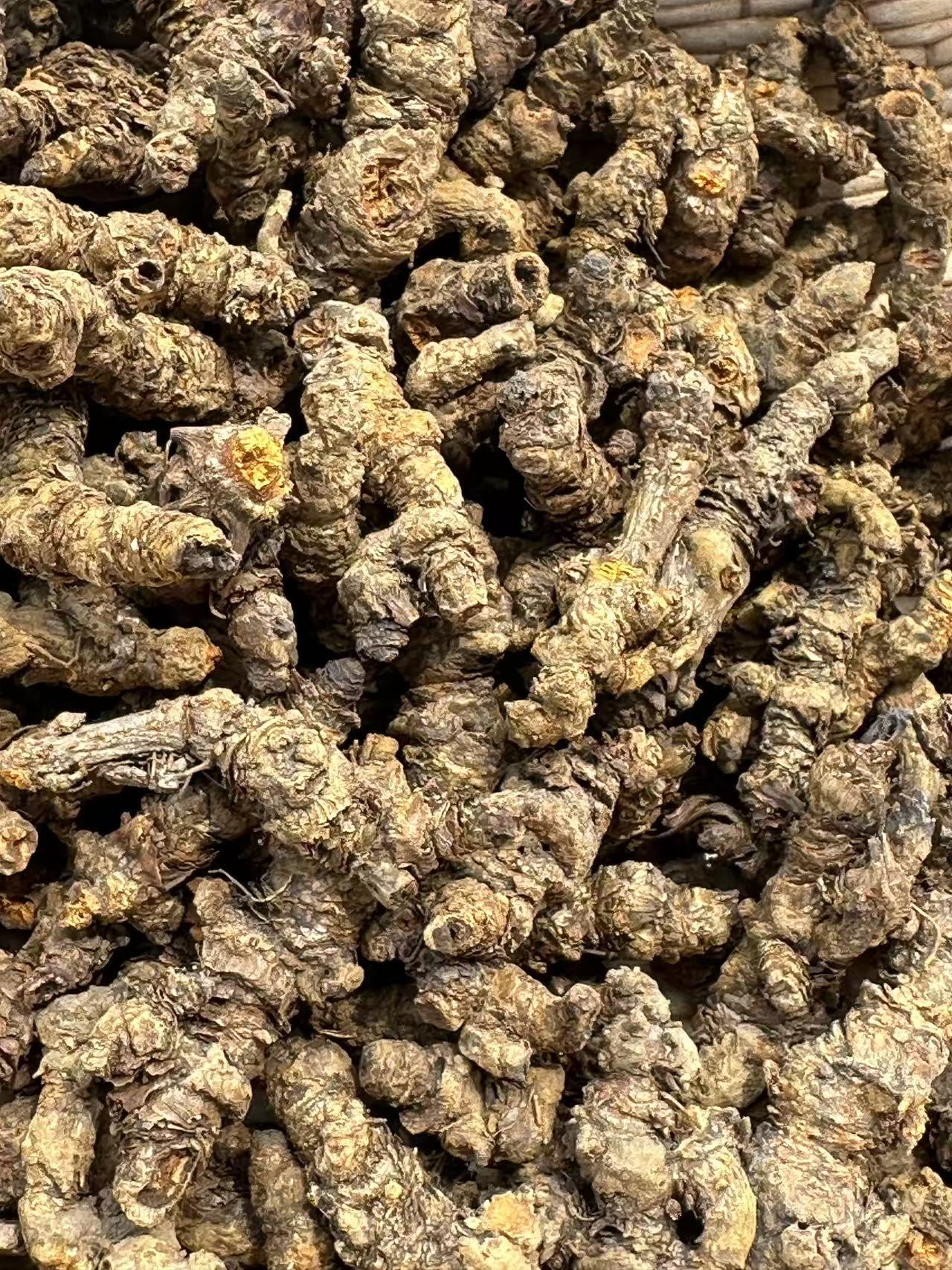 黄连单支连 药都芍哥精选农产品