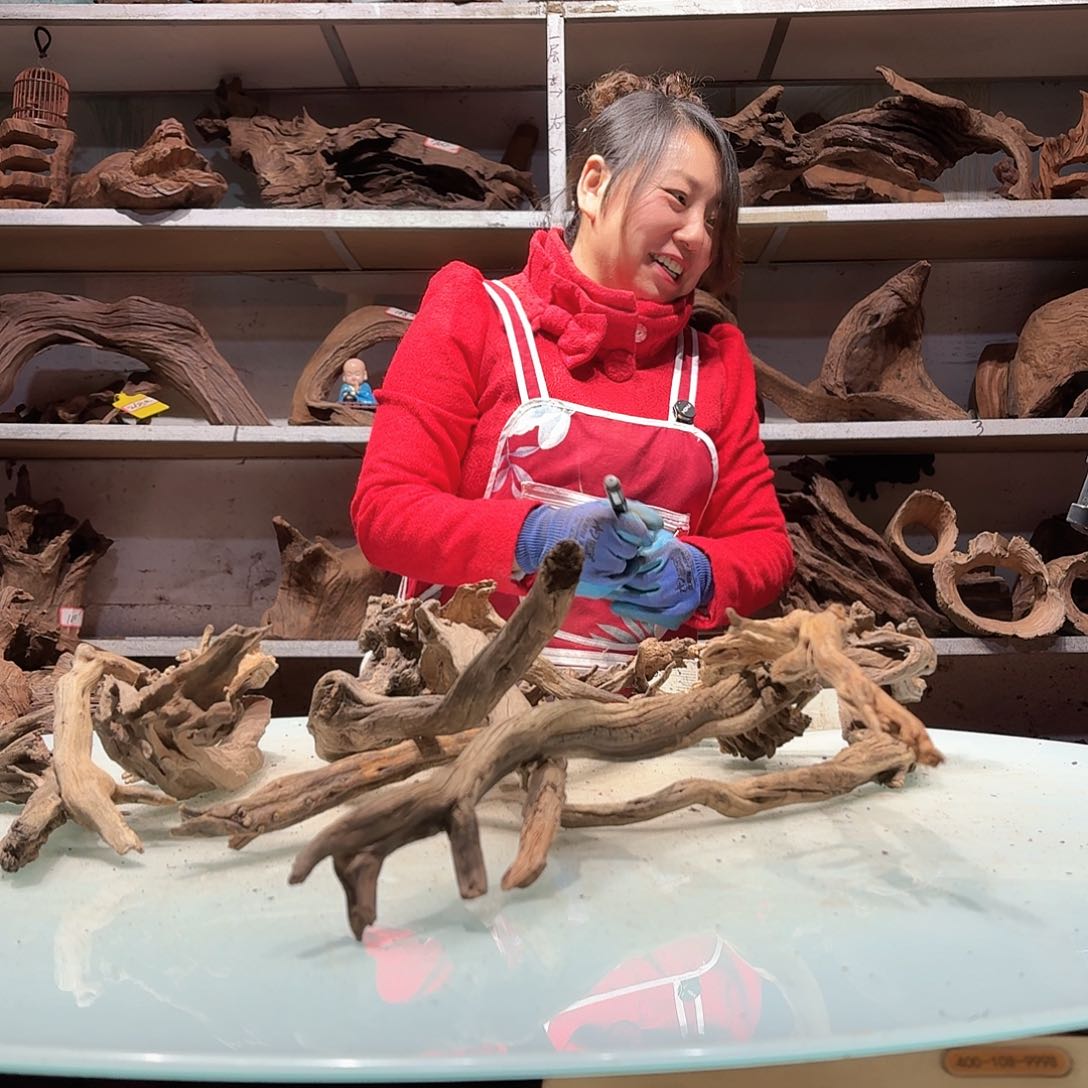 倍诸沉木，不包损必褪色杨*龄5476玲珑木枝条