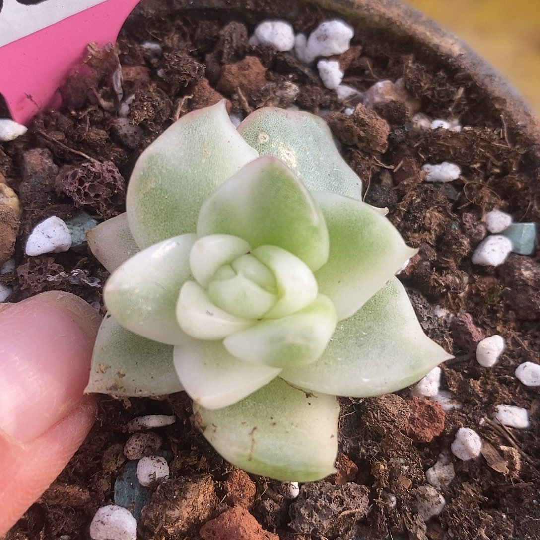 380福利哈哈哈哈哈哈