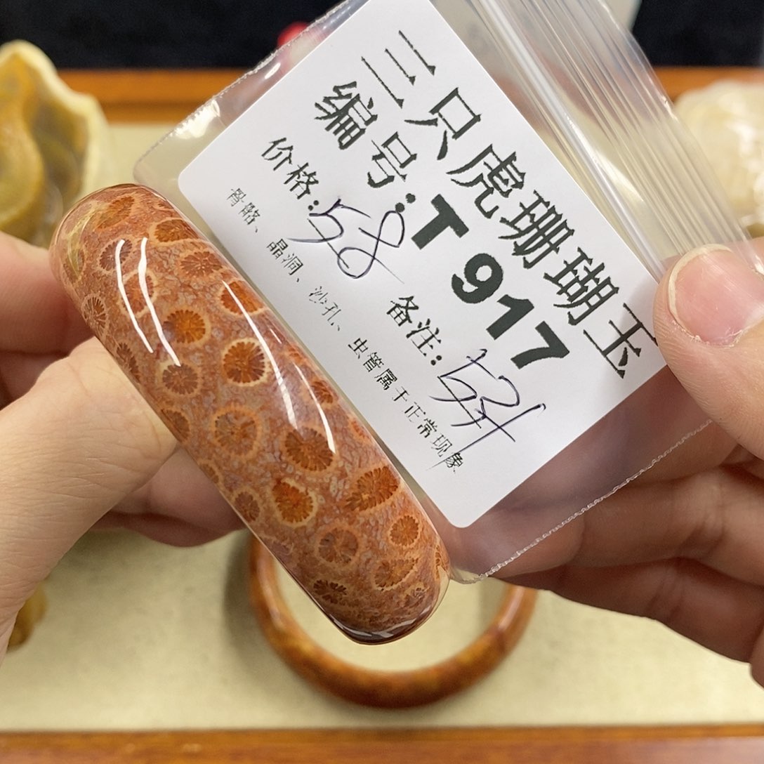 硅化珊瑚（珊瑚玉）1未镶嵌元*