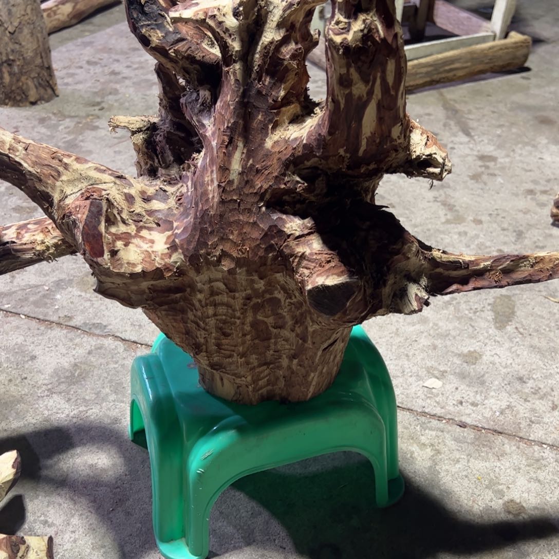 黄花梨/降香黄檀其他