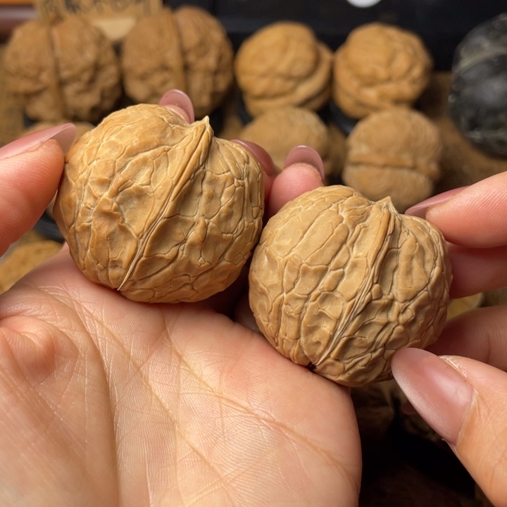 聊***司如图所示一物一拍55