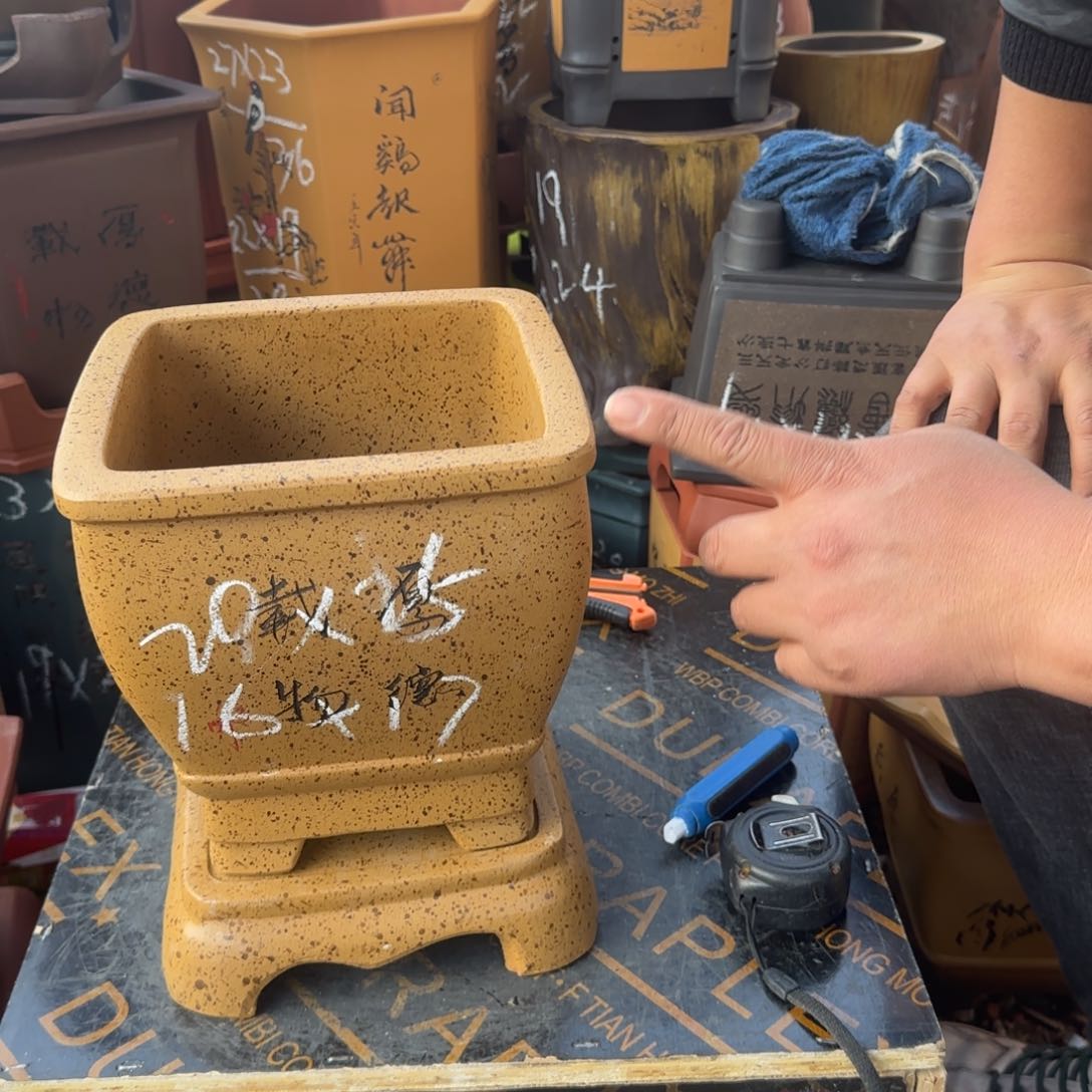 紫砂花盆花盆盆盆栽