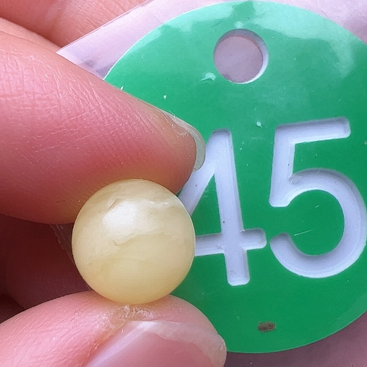 蜜蜡裸石未镶嵌9.7m m