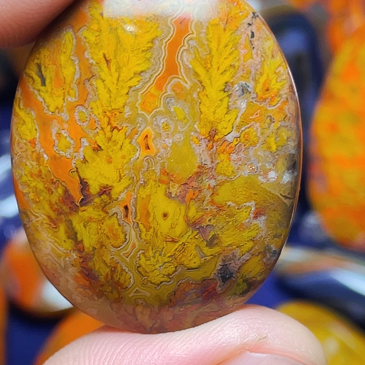 L***Y玛瑙/玉髓未镶嵌战国红