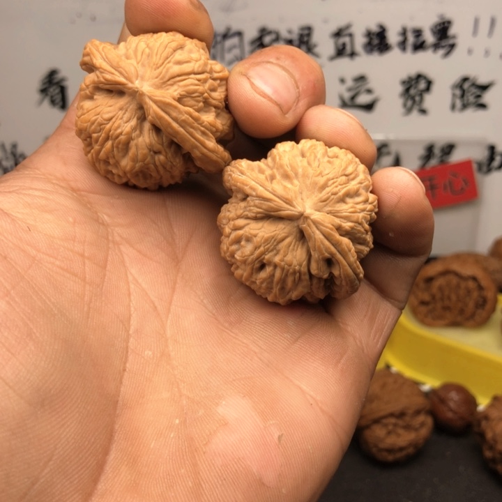 文玩核桃把件球白全品练手65号链接