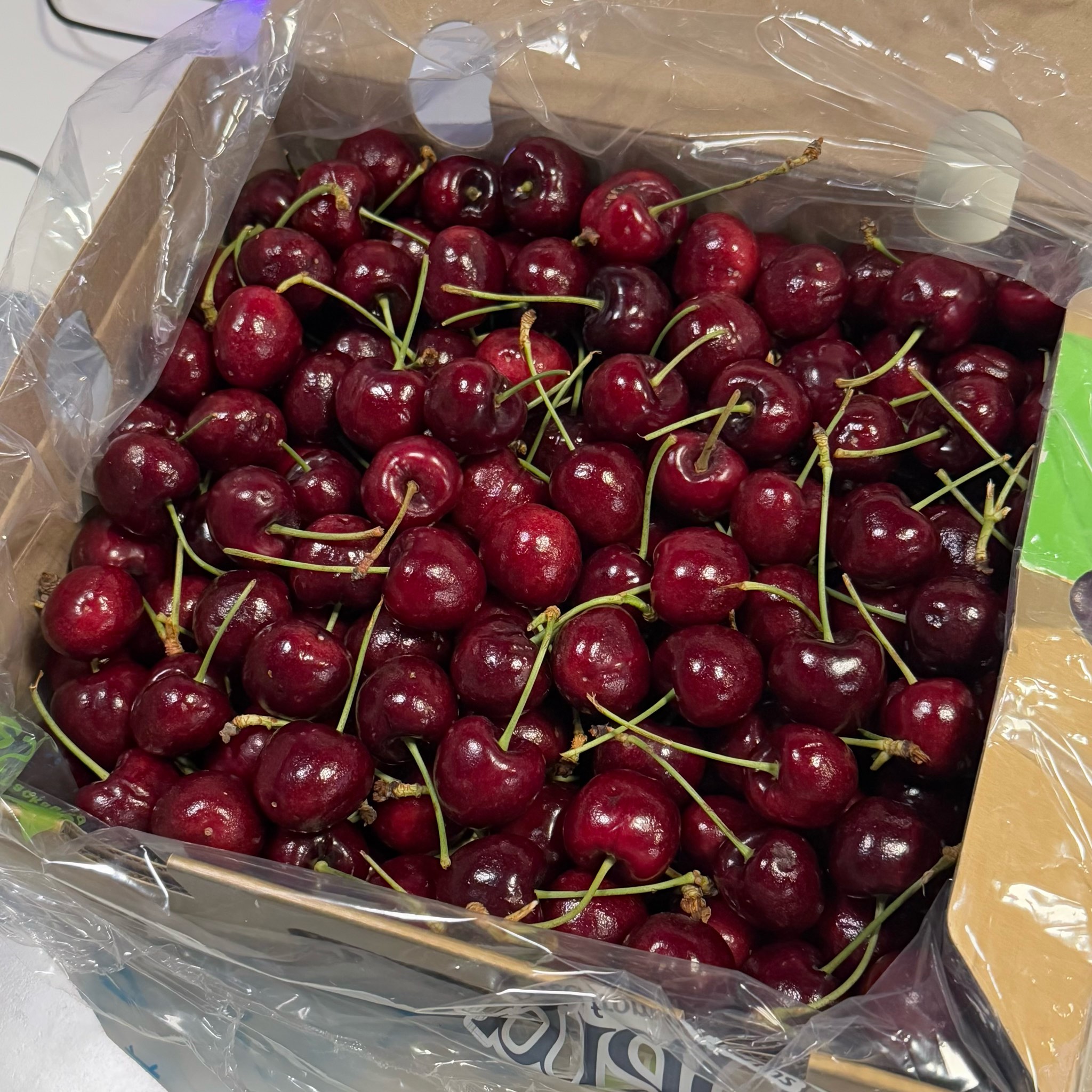 空运XLD桑提娜车厘子五斤桑提娜酸甜可口配送上门桑提娜