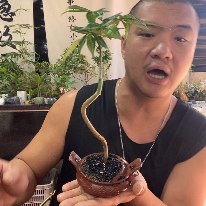 无花朵退款拉黑拉黑197