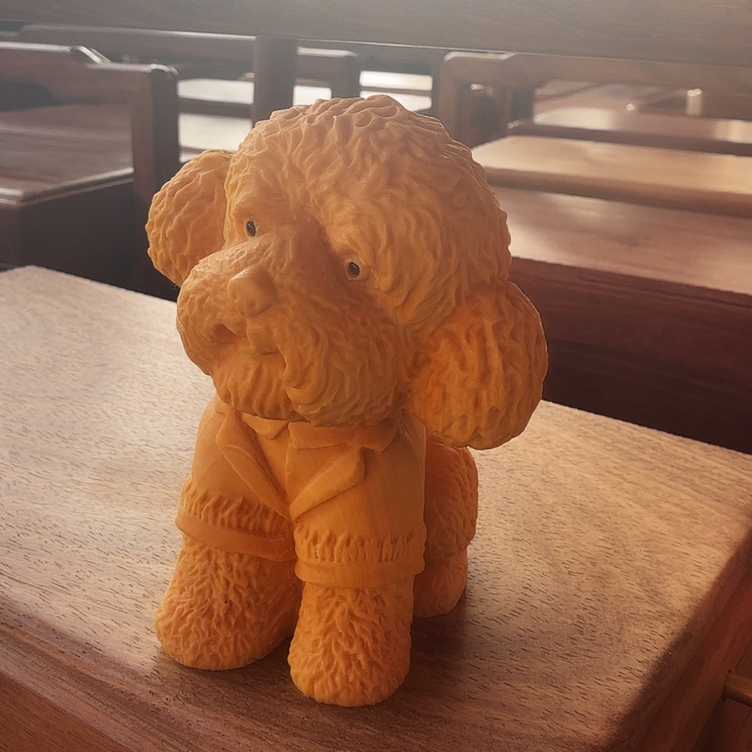 木        泰迪木狗一个