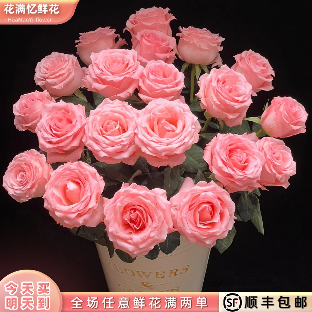 次日达-【戴安娜玫瑰】10枝单头玫瑰鲜花批发直播任意两单升级顺丰包邮三单送随机花瓶一个今天拍明天到