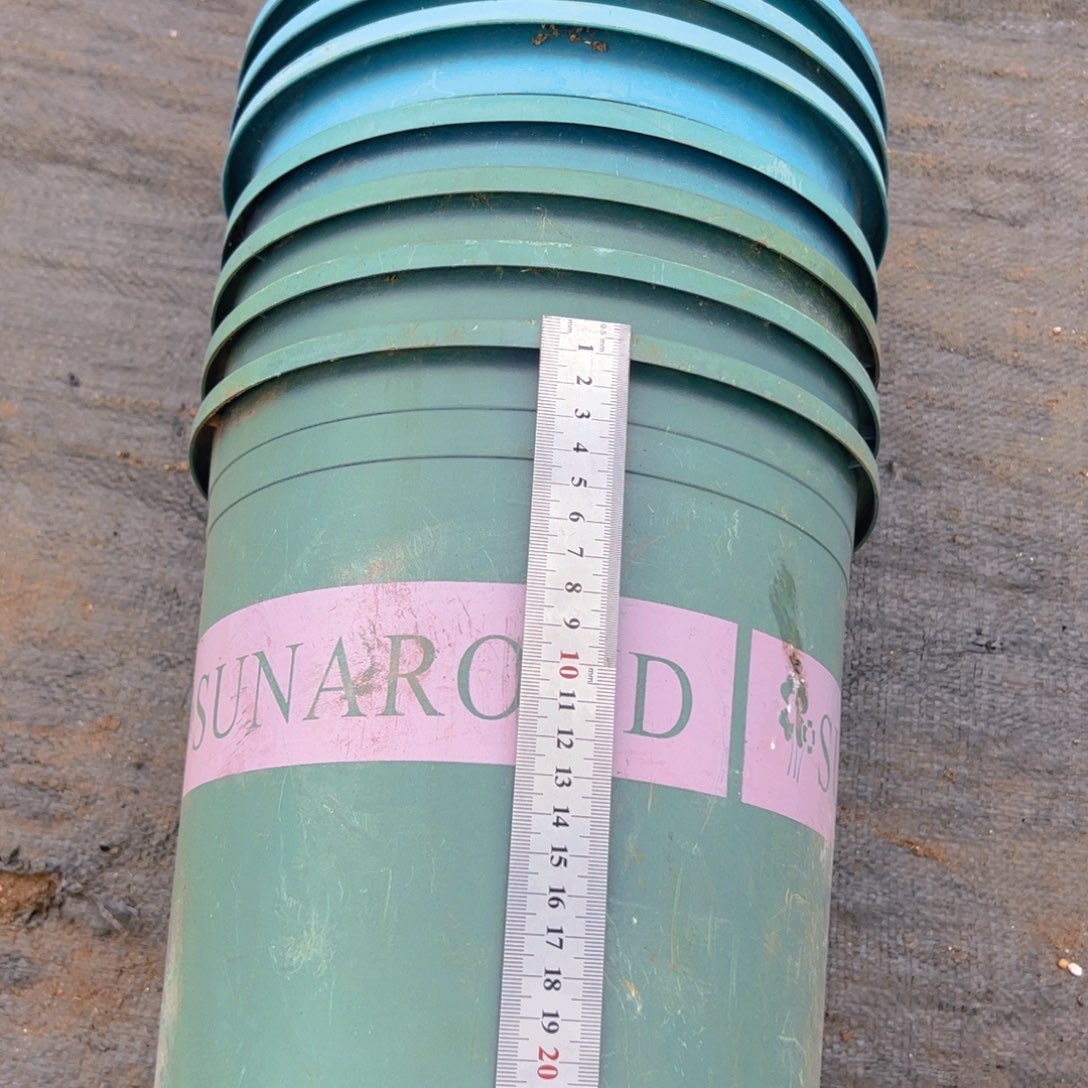 塑料加伦绿色硬盆24.5外口径 26高 7个