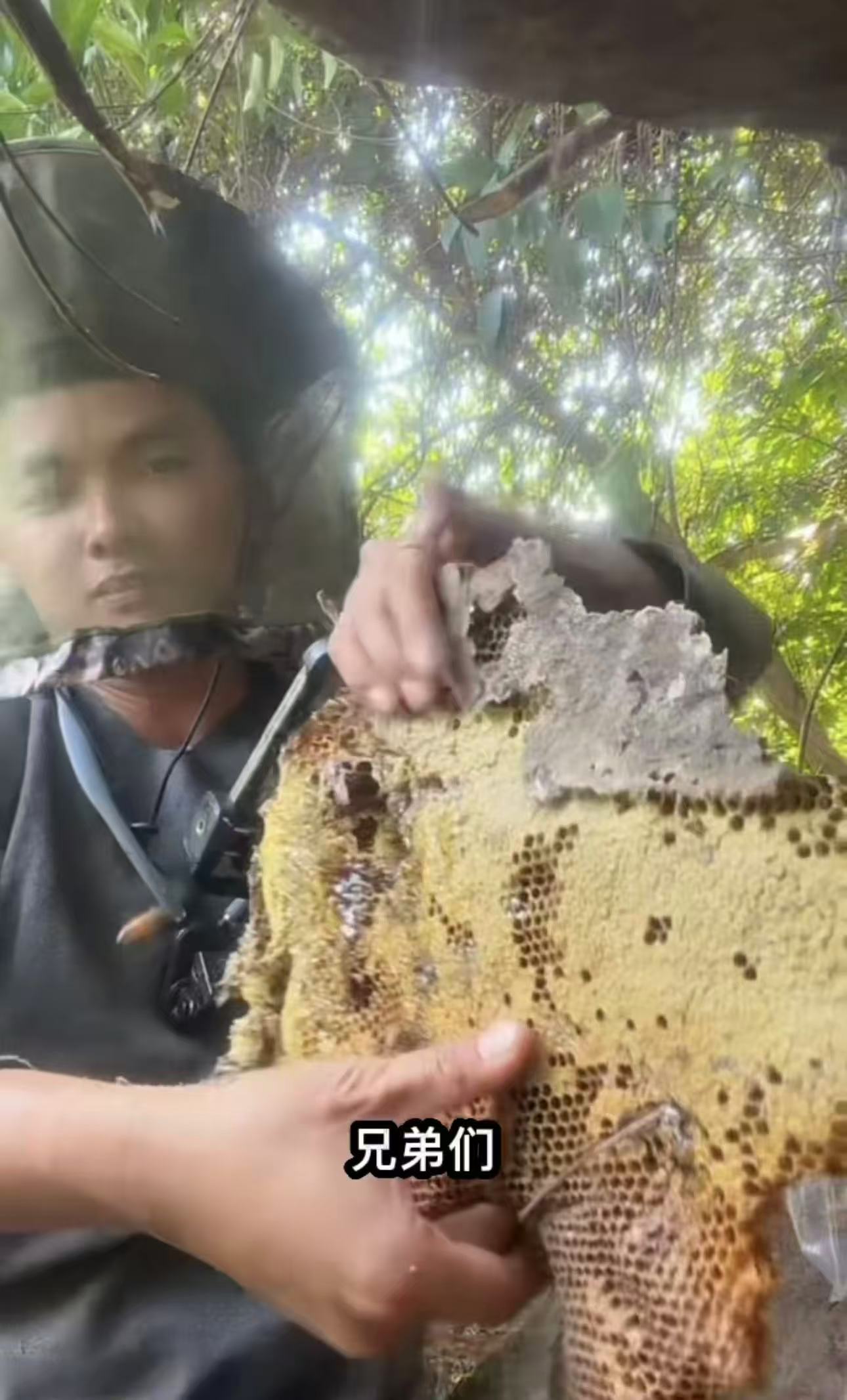 福建野生蜂巢蜜 口感纯正