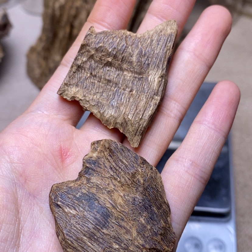 【闪购商品】香榧木老*沉水10.2克