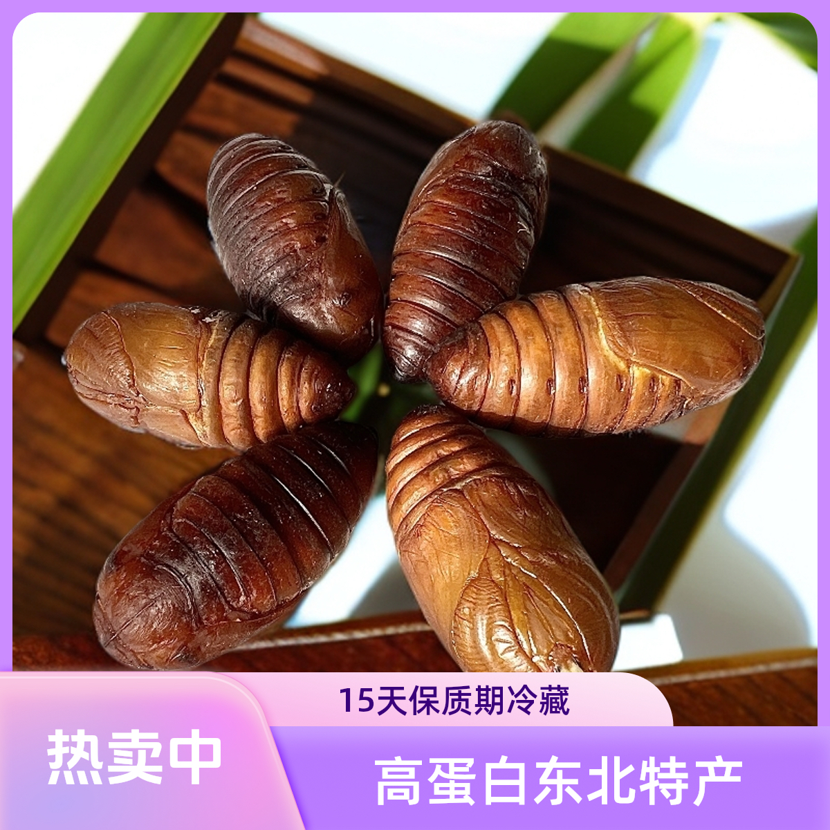 东北特产蚕蛹鲜活红蝉蛹野生柞茧蛹西丰高蛋白大黄蛹包邮产地批发