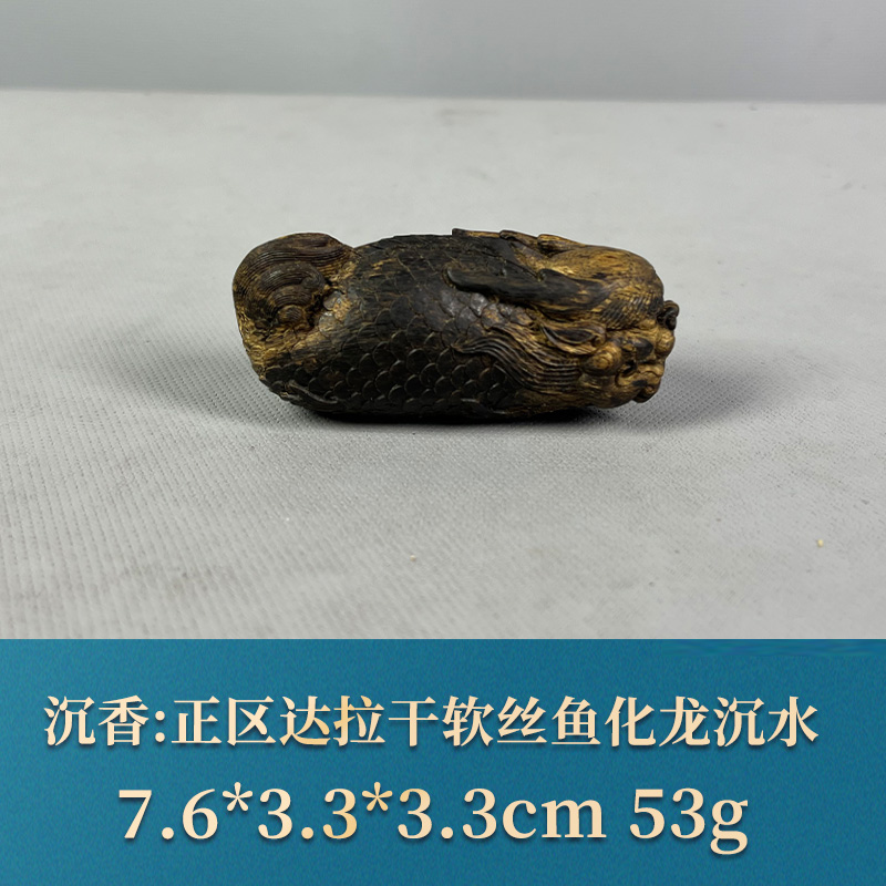 59988 正区达拉干软丝鱼化龙沉水 沉香