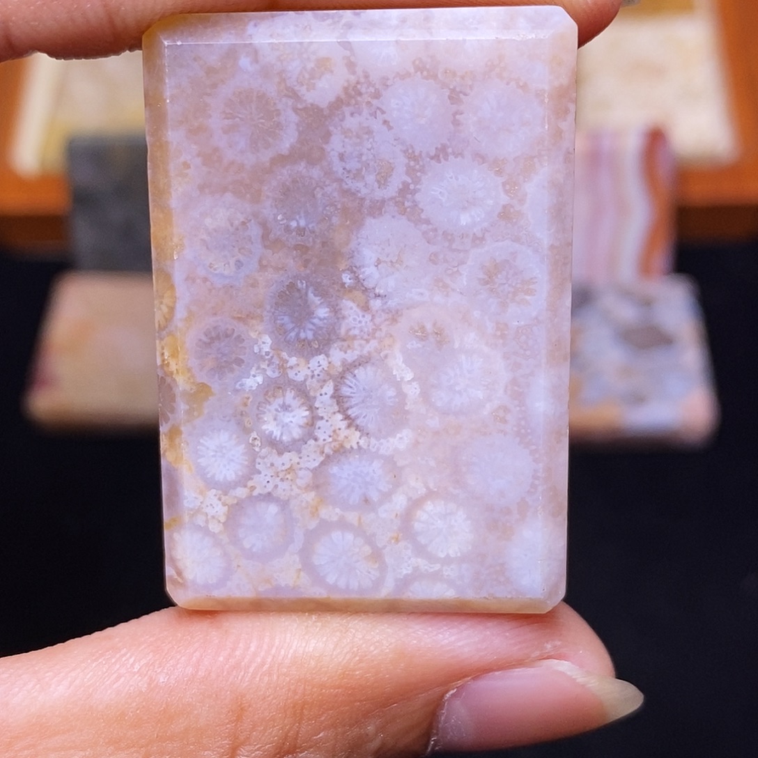 南***落硅化玉合金珊瑚玉