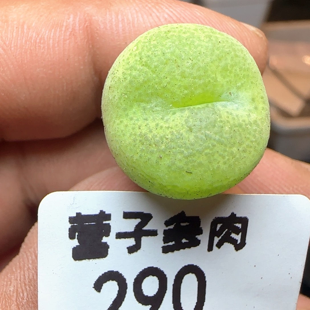 翠光玉。             