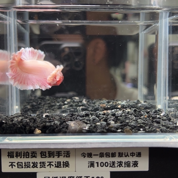 斗鱼竞拍跑单拉黑29日88