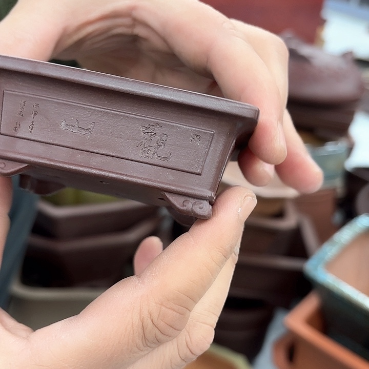 紫砂花盆紫砂的颜色很好看