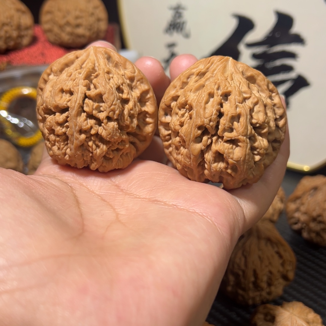 核桃全品无修大粗筋47