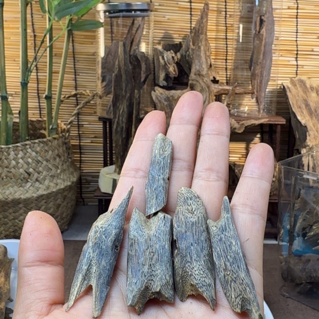 沉香沉香碎屑沉香驼背黑棋50g
