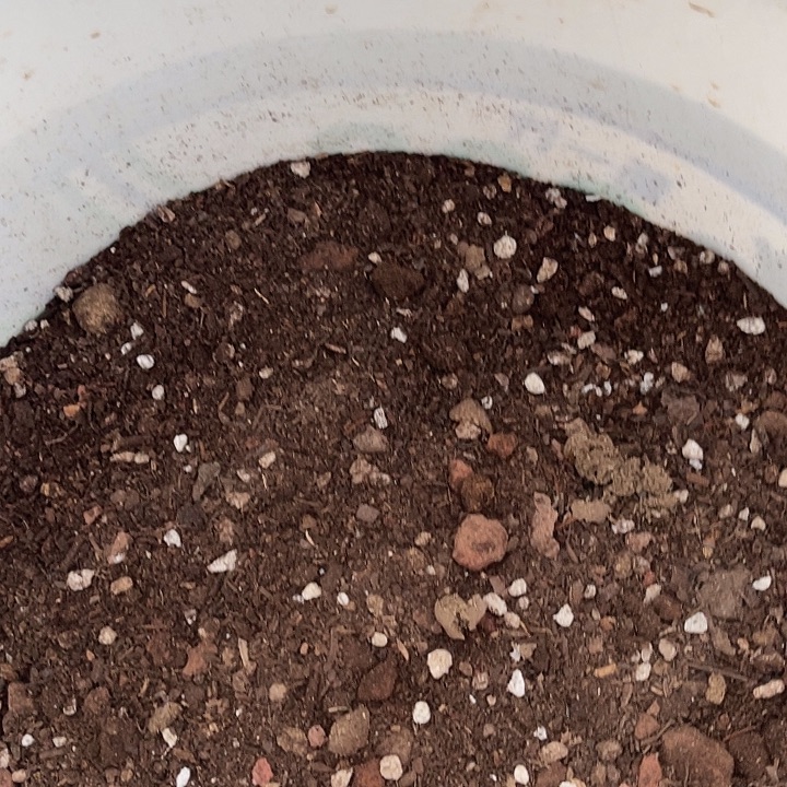 不***.栽多肉植物营养土（5斤装）