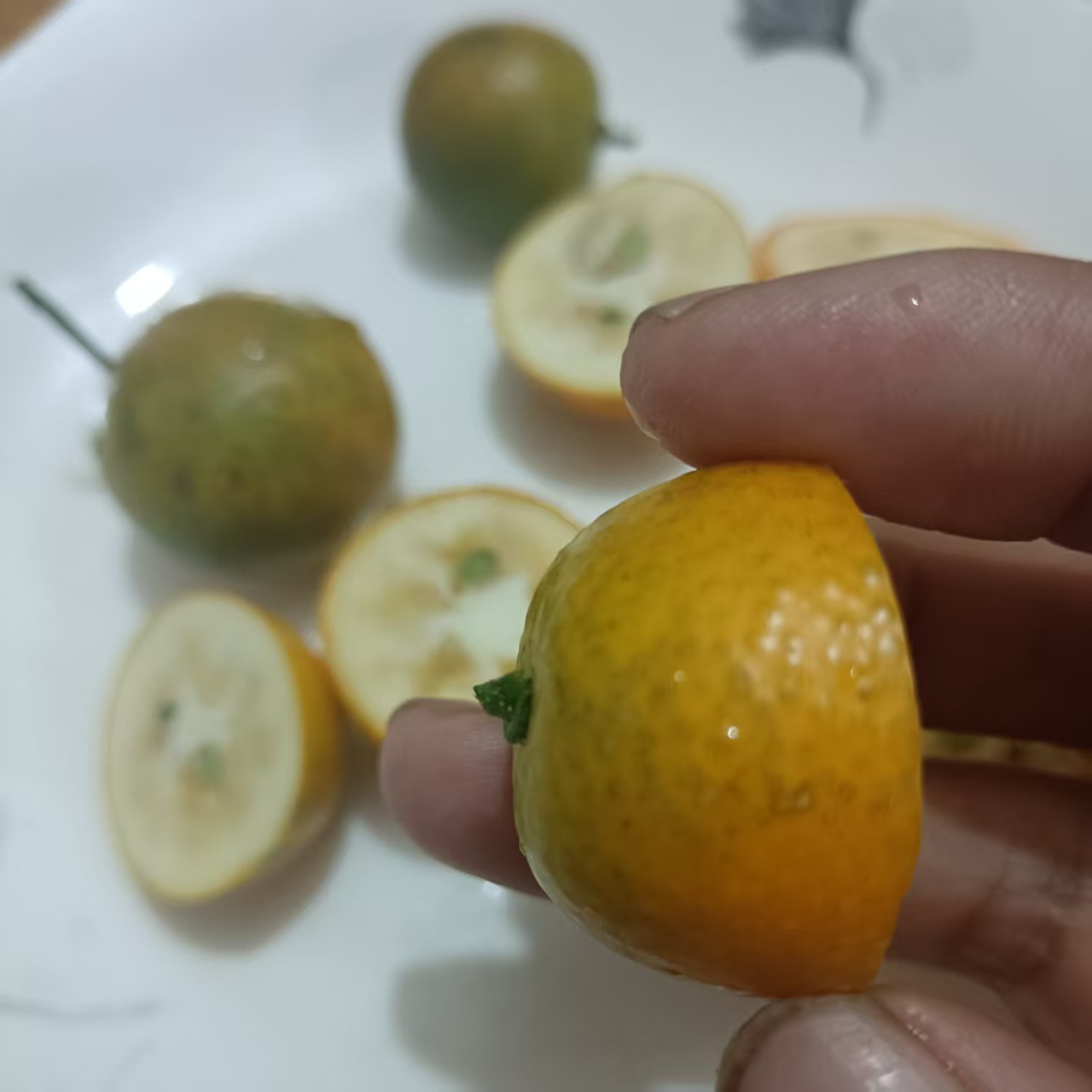 第1代老品种油桔酸甜麻涩大小混法有青有黄介意勿拍