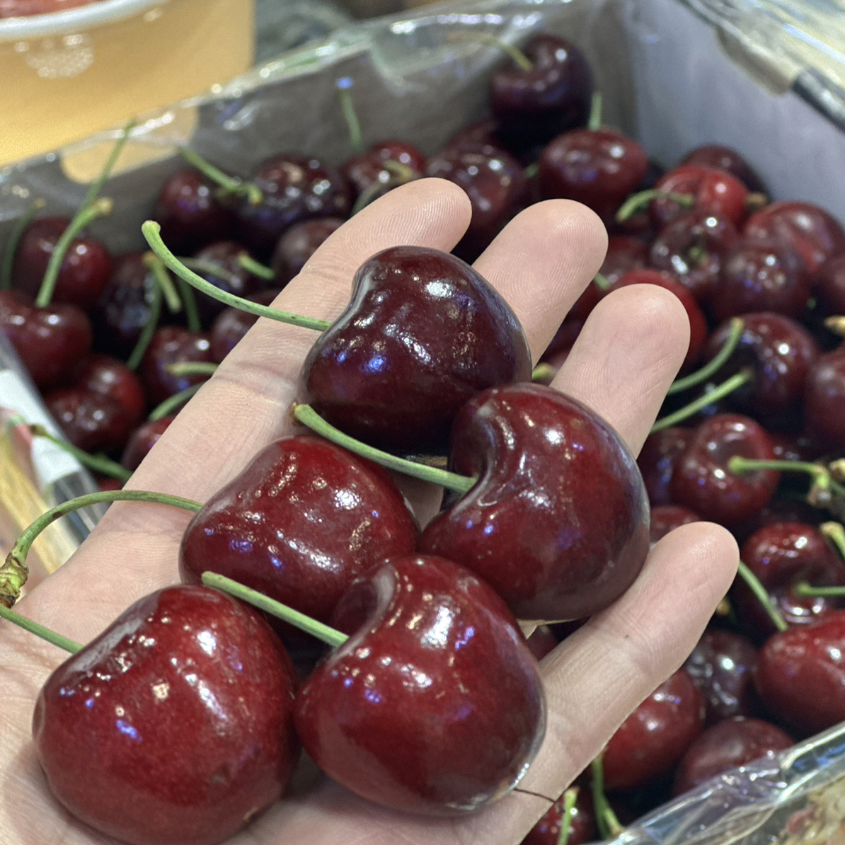 【鲜果】车厘子/箱（5斤）2J J空运桑提娜智利