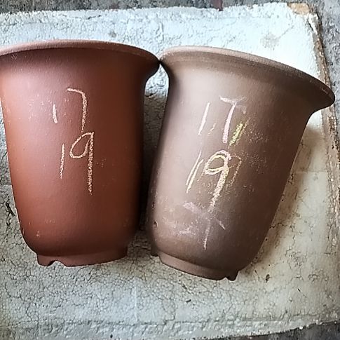 红泥紫泥小金钟两个