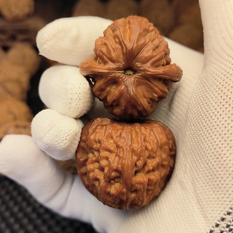 白狮子山地果文玩核桃