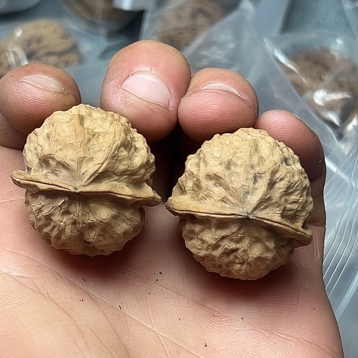 核桃30号小手捻33尺