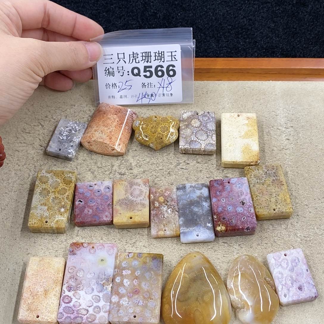 硅化珊瑚（珊瑚玉）1未镶嵌彩*?