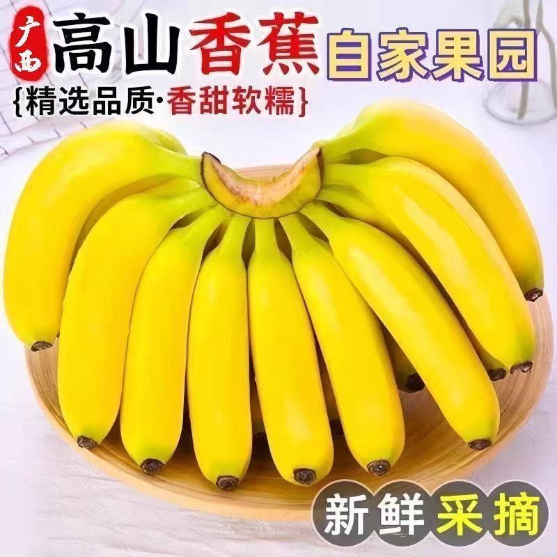 【粉丝福利】广西高山甜香蕉当季新鲜水果9斤5斤1斤产地粉芭蕉批发