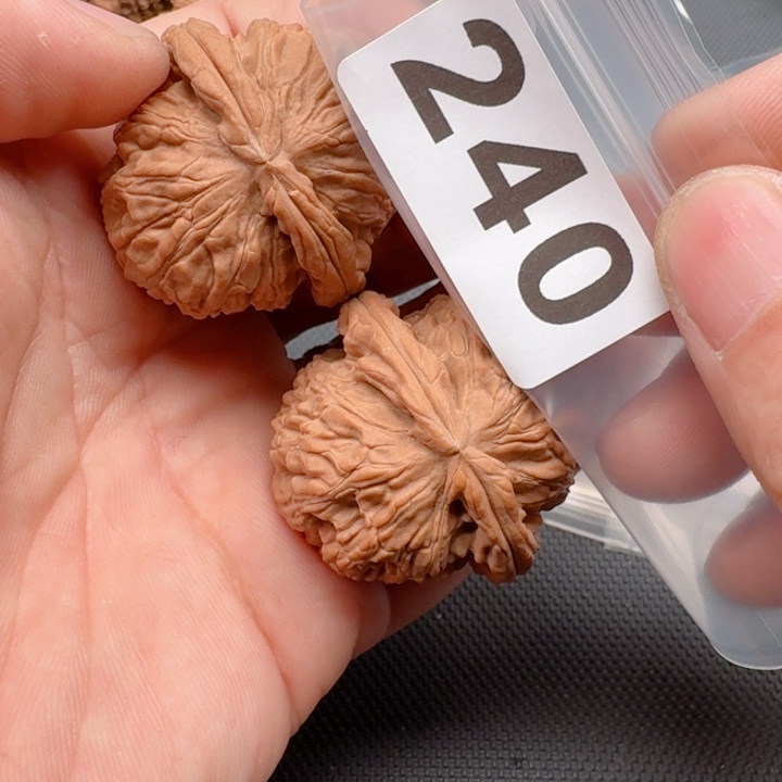 文玩核桃把件荷**?白狮39