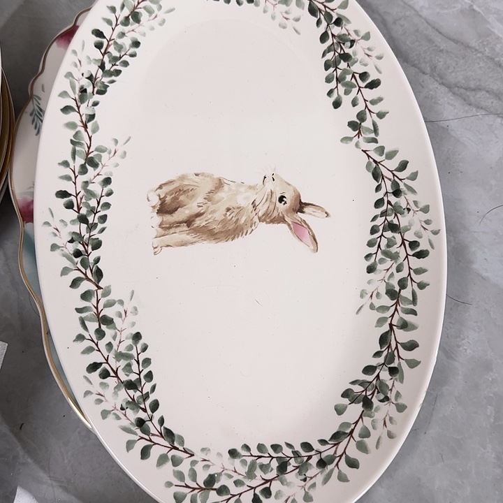 瓷14英寸小兔子鱼盘