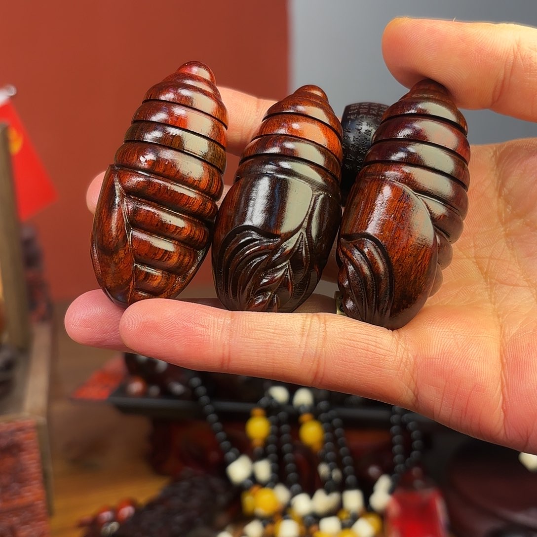 檀香紫檀（小叶紫檀）蛹