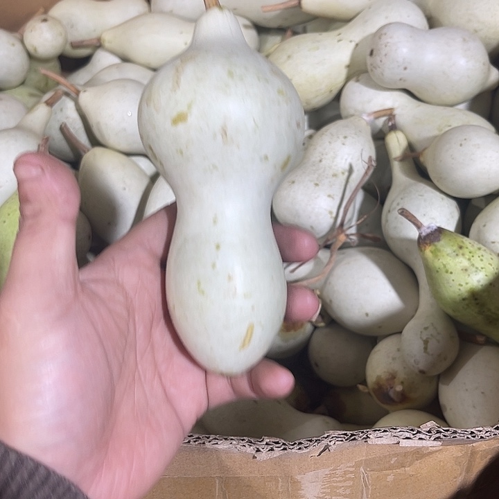 非洲紫檀（红花梨）沧**云