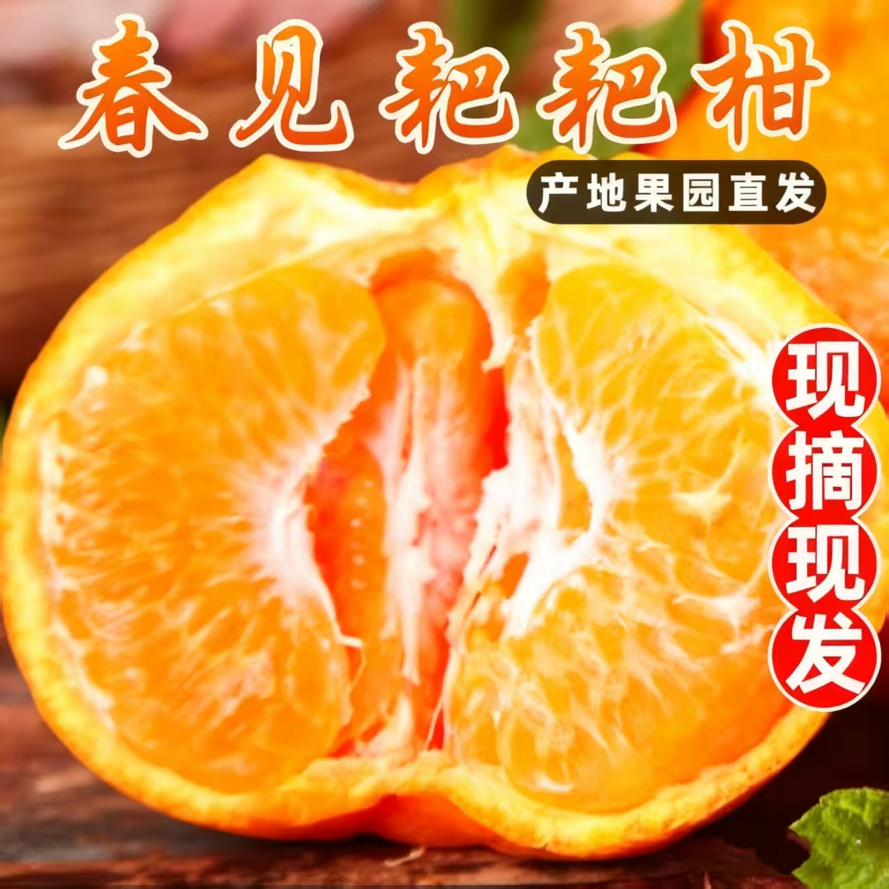 【2025春见耙耙柑】现摘四川水果新鲜丑桔橘八怪特甜柑蜜桔子蜜橘