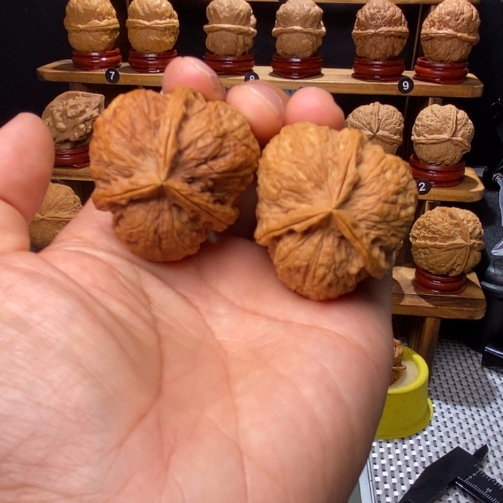 文玩核桃把件古龙10