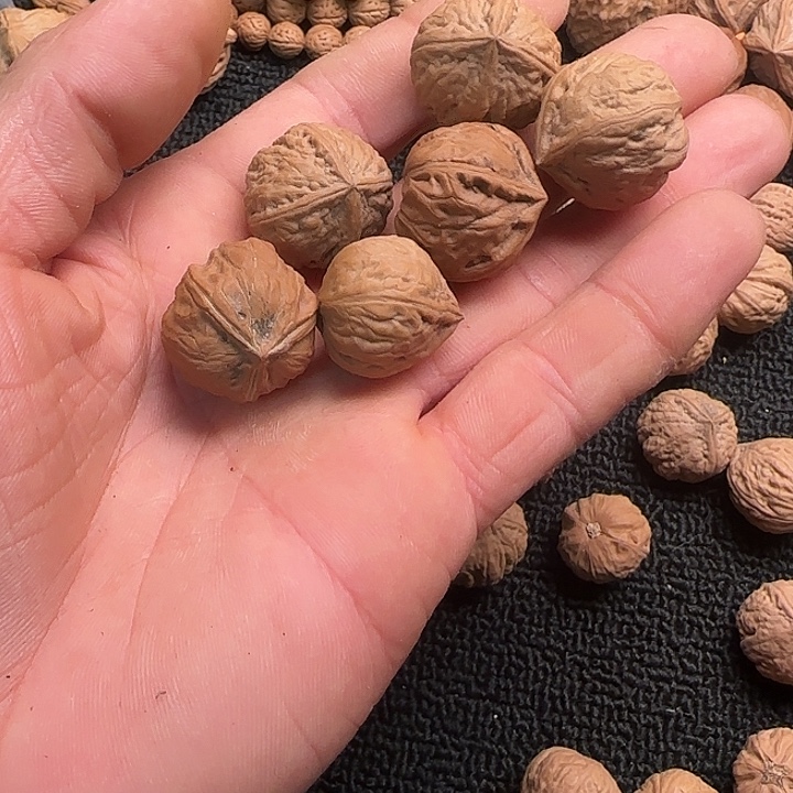 H***生文玩核桃吊坠111111111121111